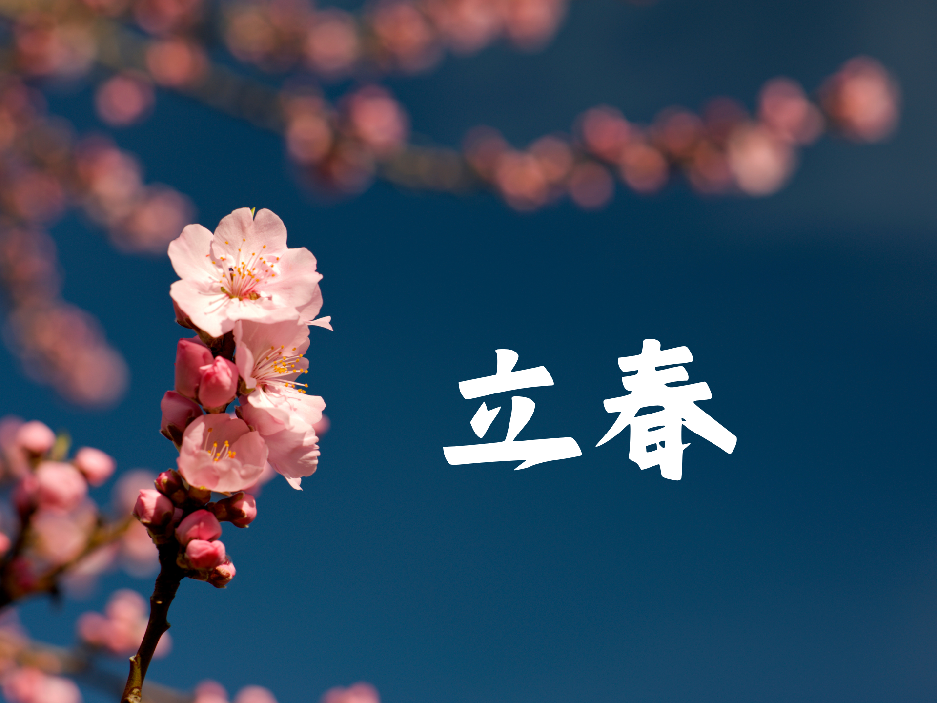 關於「立春」:春天的起點與文化傳承|金寶山生命金學苑 –金寶山集團